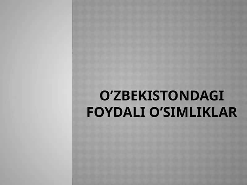 Oʻzbekistondagi foydali o’simliklar