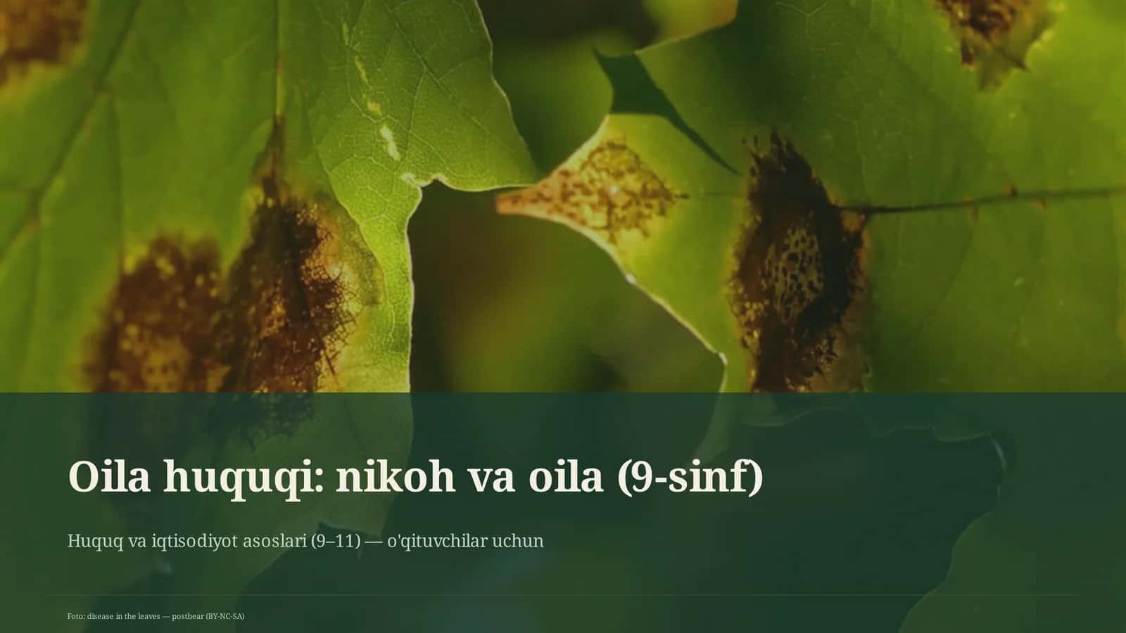 Huquq va iqtisodiyot asoslari (9–11)