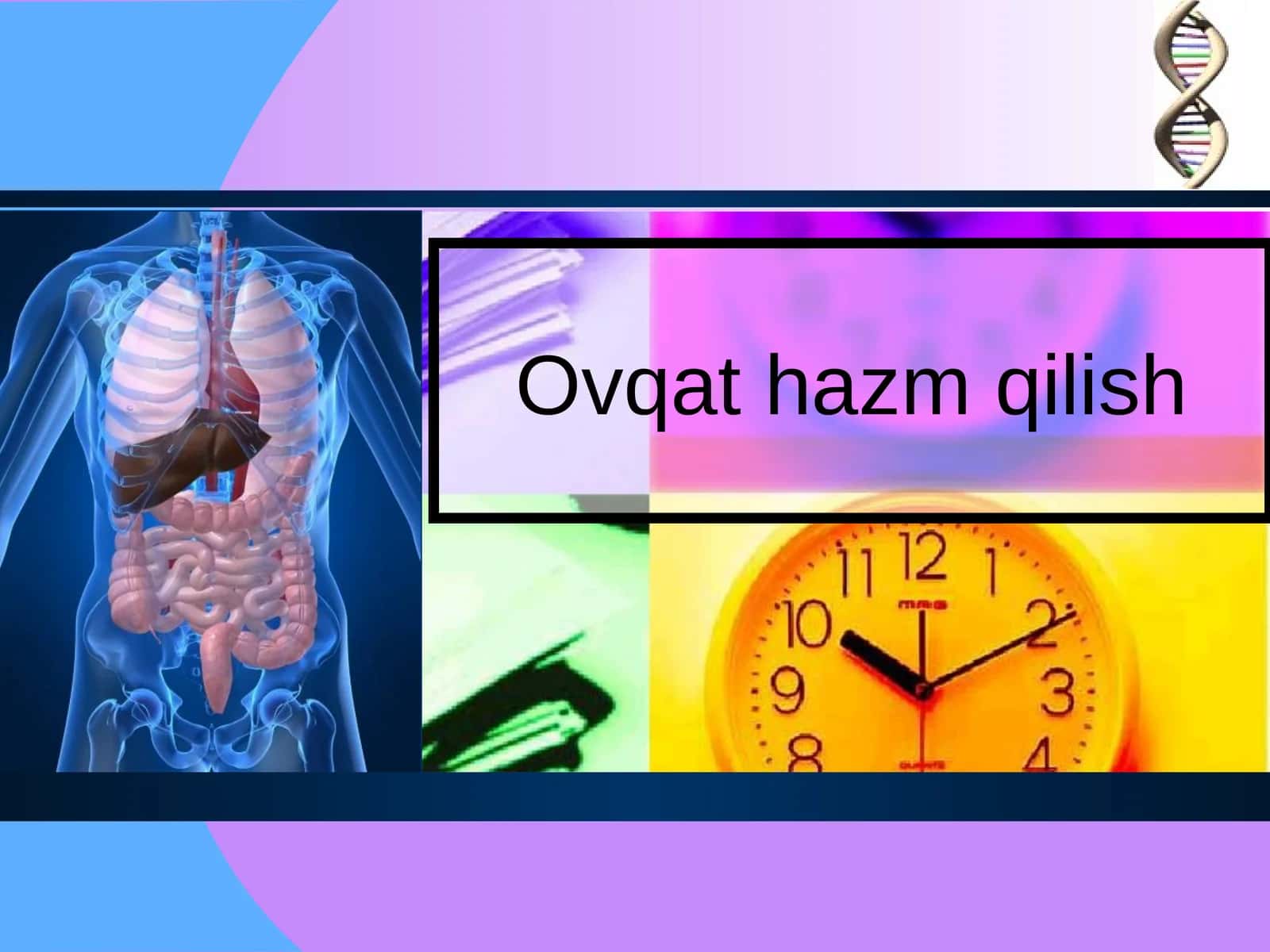 Ovqat hazm qilish.pptx