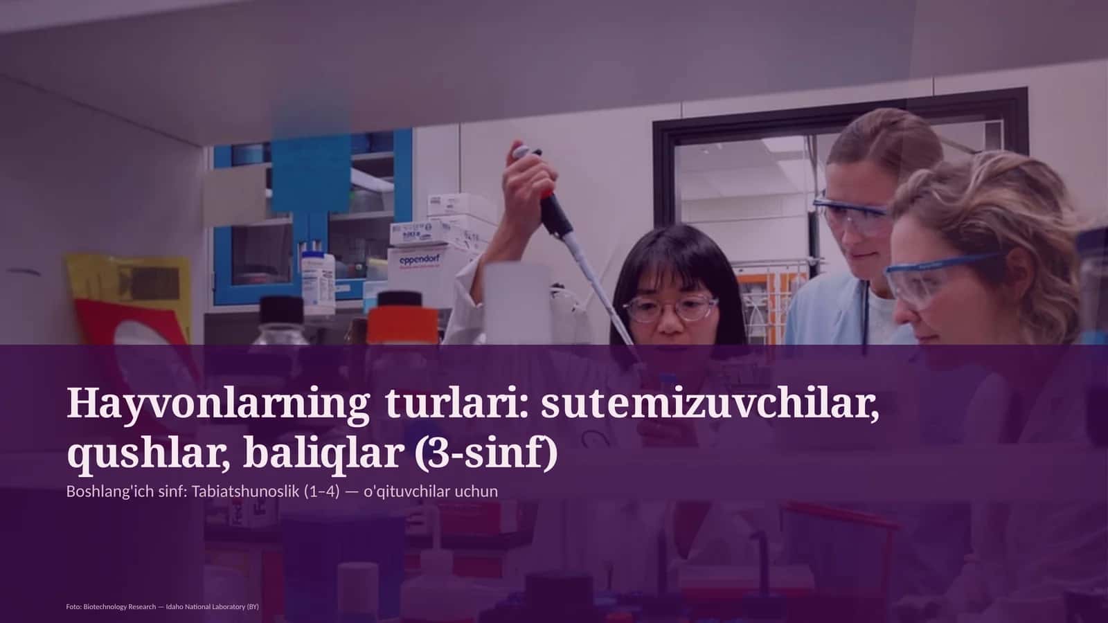 Hayvonlarning turlari: sutemizuvchilar, qushlar, baliqlar (3-sinf)