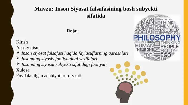 Inson Siyosat Falsafasi