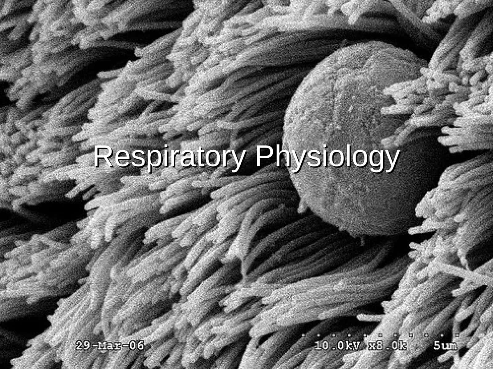 Respiratory Physiology Lecture Outline