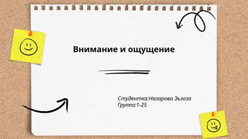 Внимание и ощущение