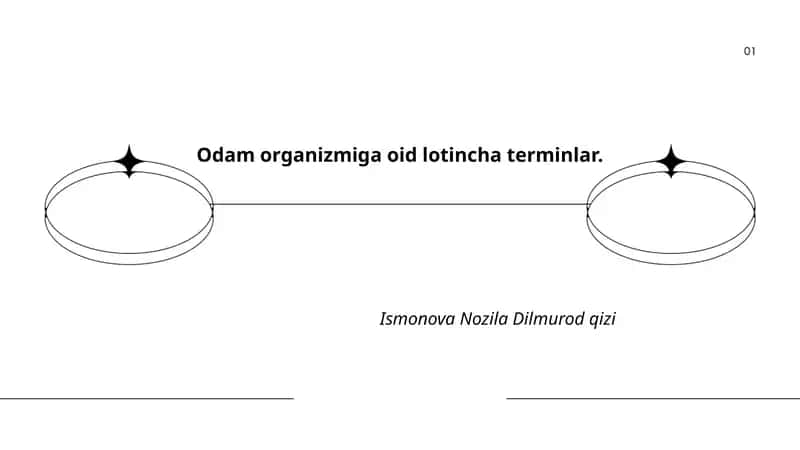 Odam organizmiga oid lotincha terminlar