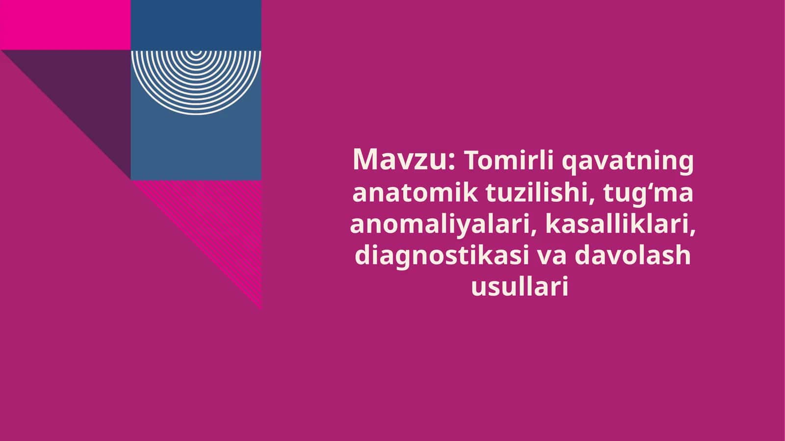 Tomirli Qavatning Anatomiyasi va Fiziologik Xususiyatlari