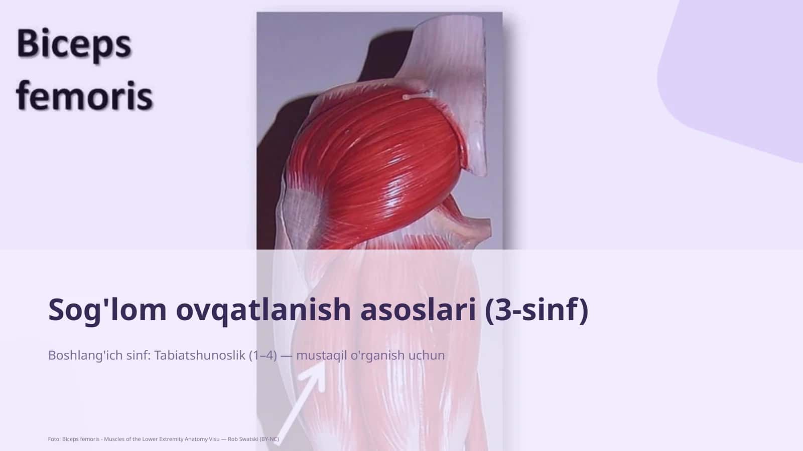 Sog'lom ovqatlanish asoslari (3-sinf)
