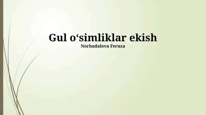 Gul oʻsimliklar ekish