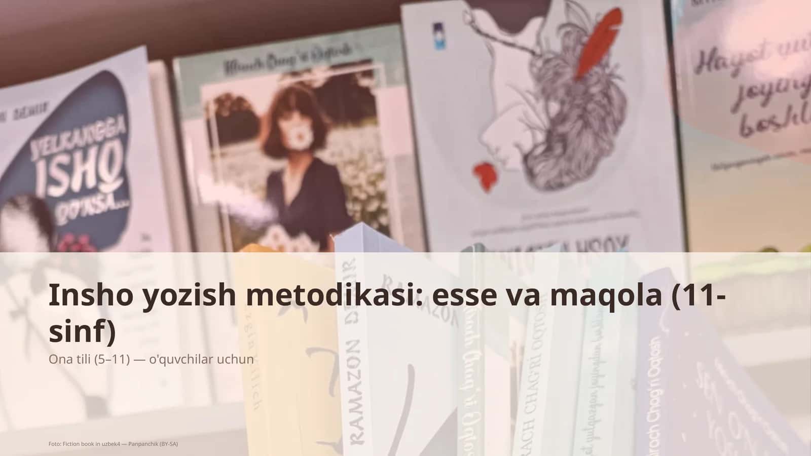 Insho yozish metodikasi: esse va maqola (11-sinf)