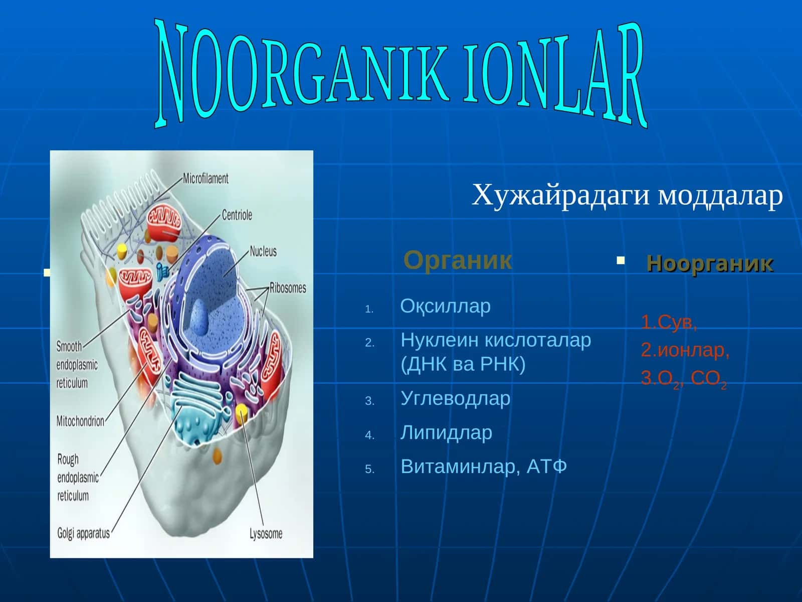 NOORGANIK IONLAR