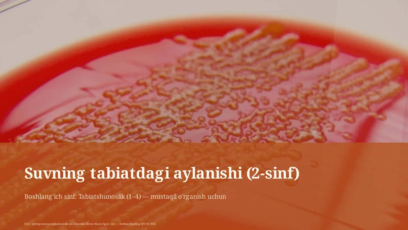 Suvning tabiatdagi aylanishi (2-sinf)