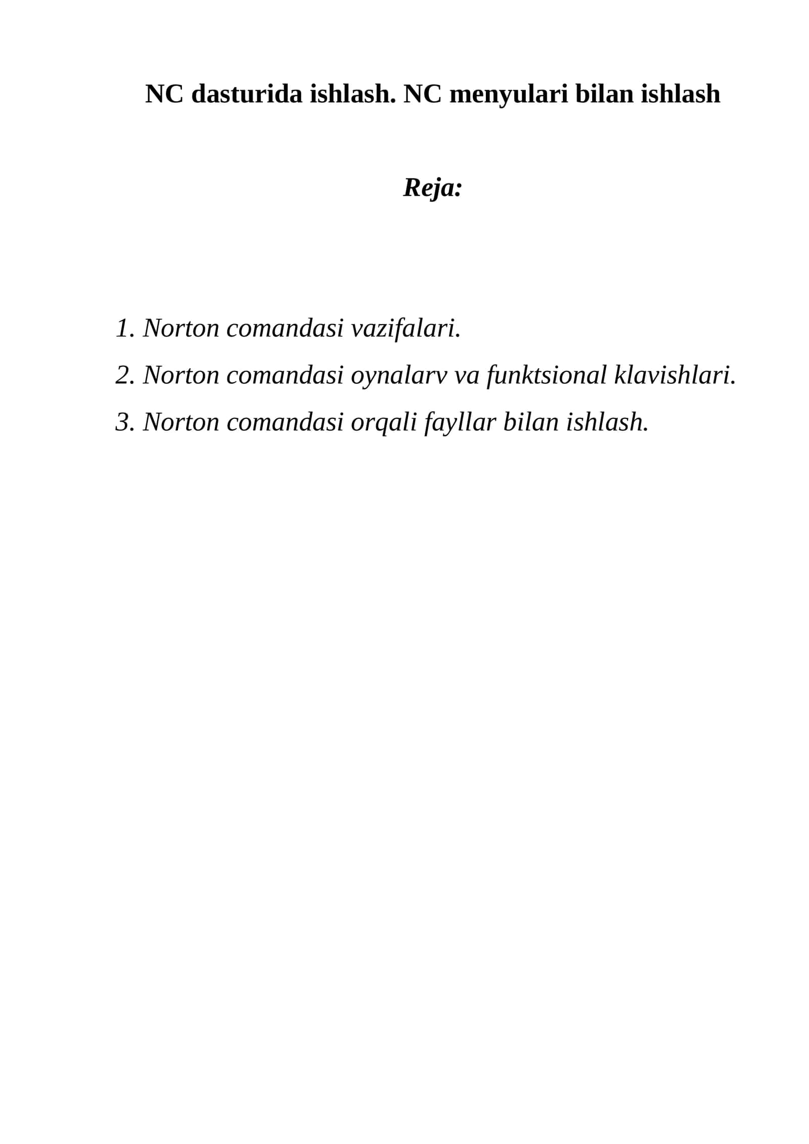 Norton comandasi ishlovchi programa (NC)