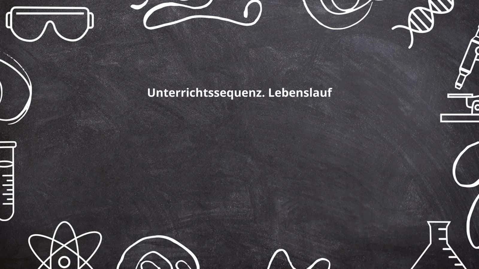 Unterrichtssequenz. Lebenslauf
