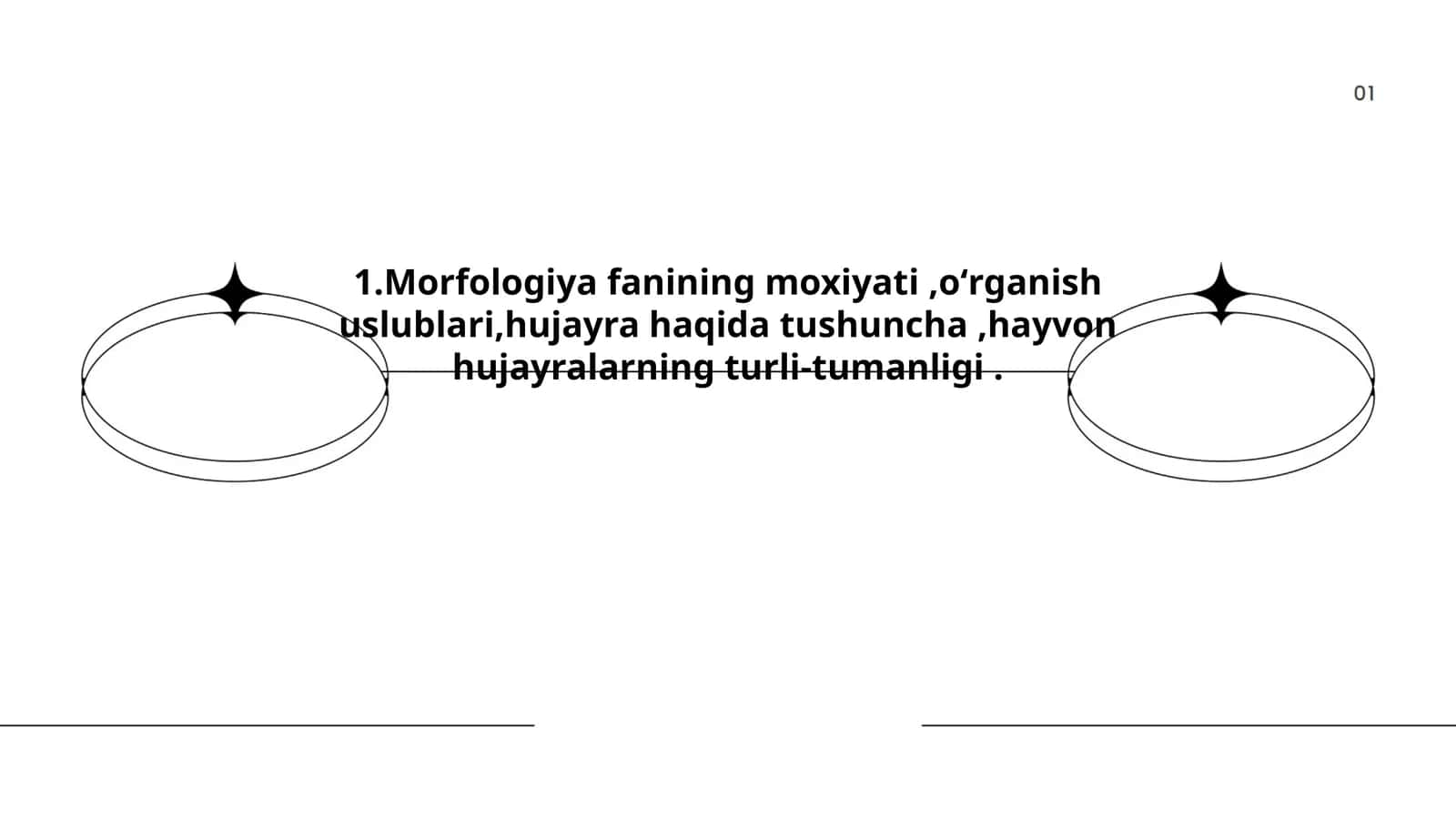 Morfologiya fanining mohiyati