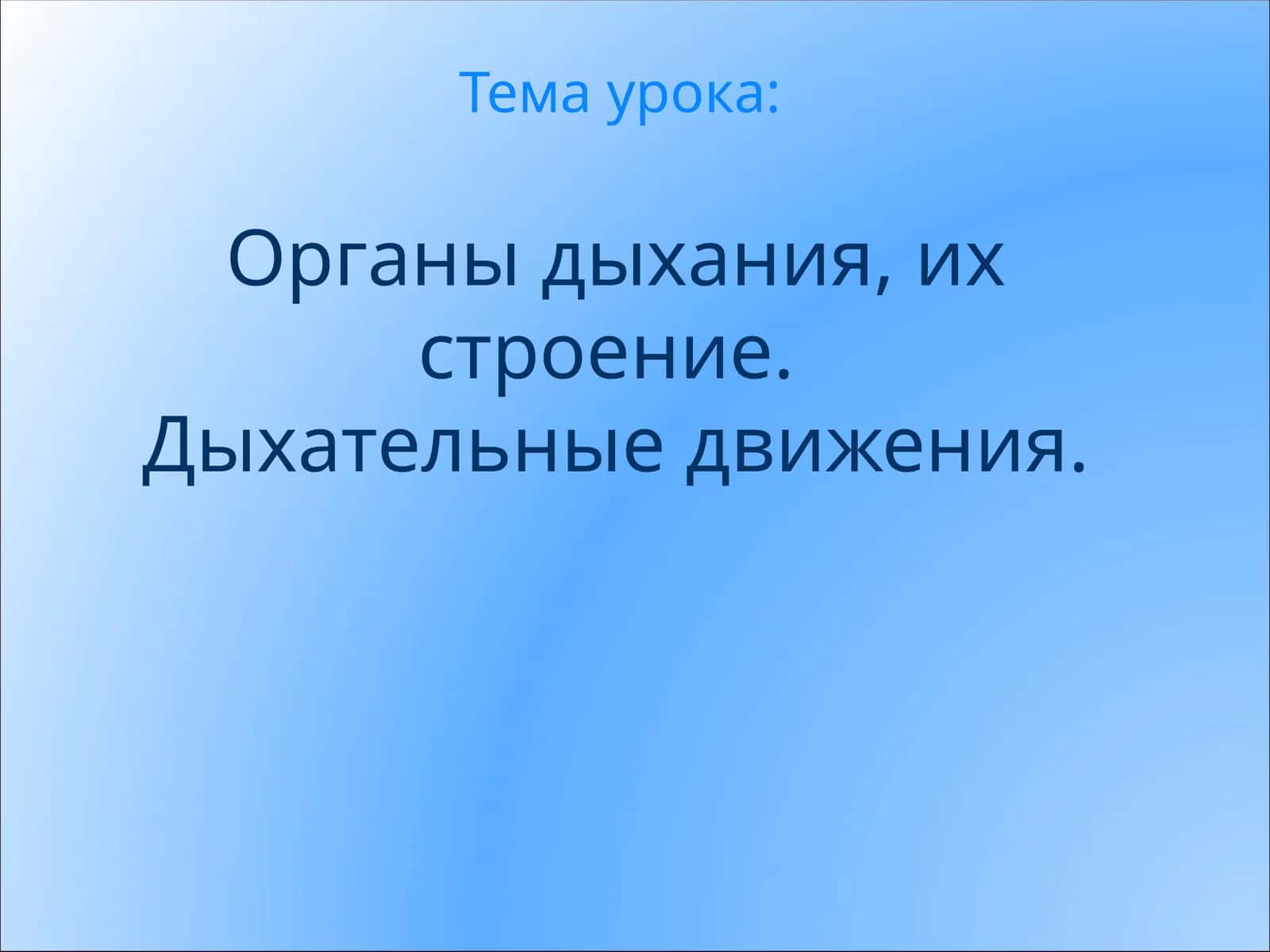 Органы дыхания, их строение.Дыхательные движения
