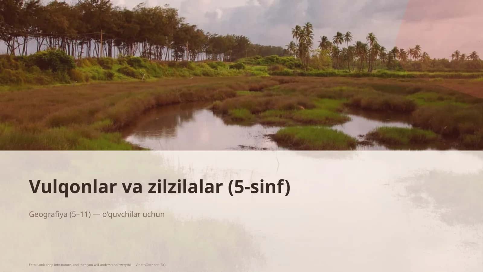 Vulqonlar va zilzilalar (5-sinf)