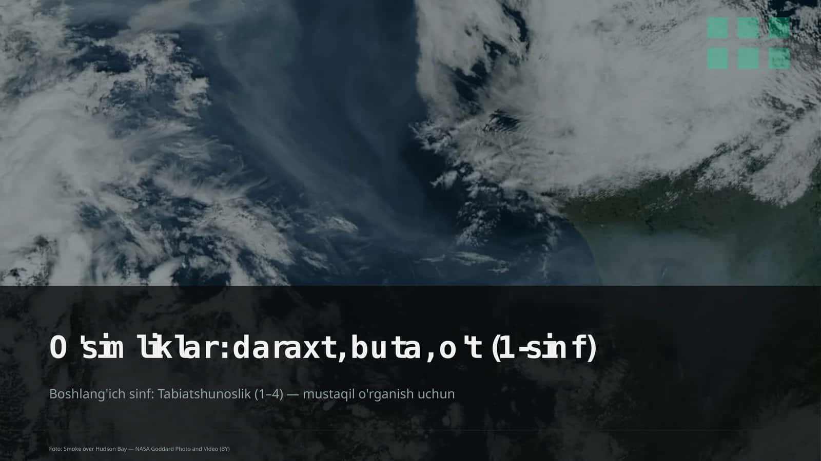 O'simliklar: daraxt, buta, o't (1-sinf)