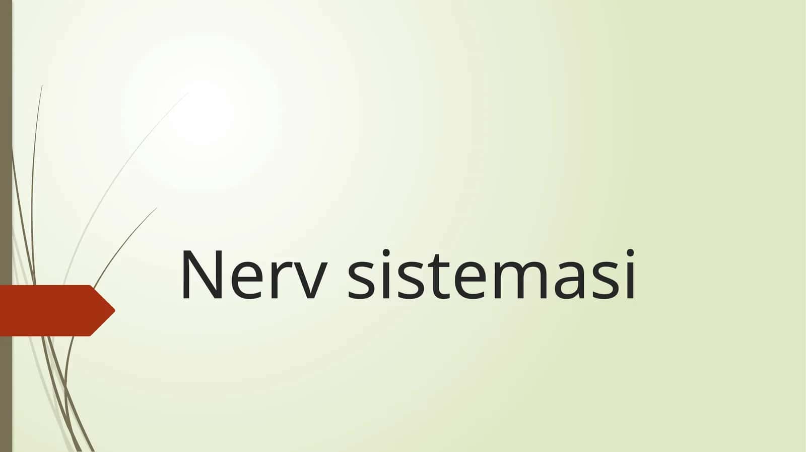 Nerv sistemasi