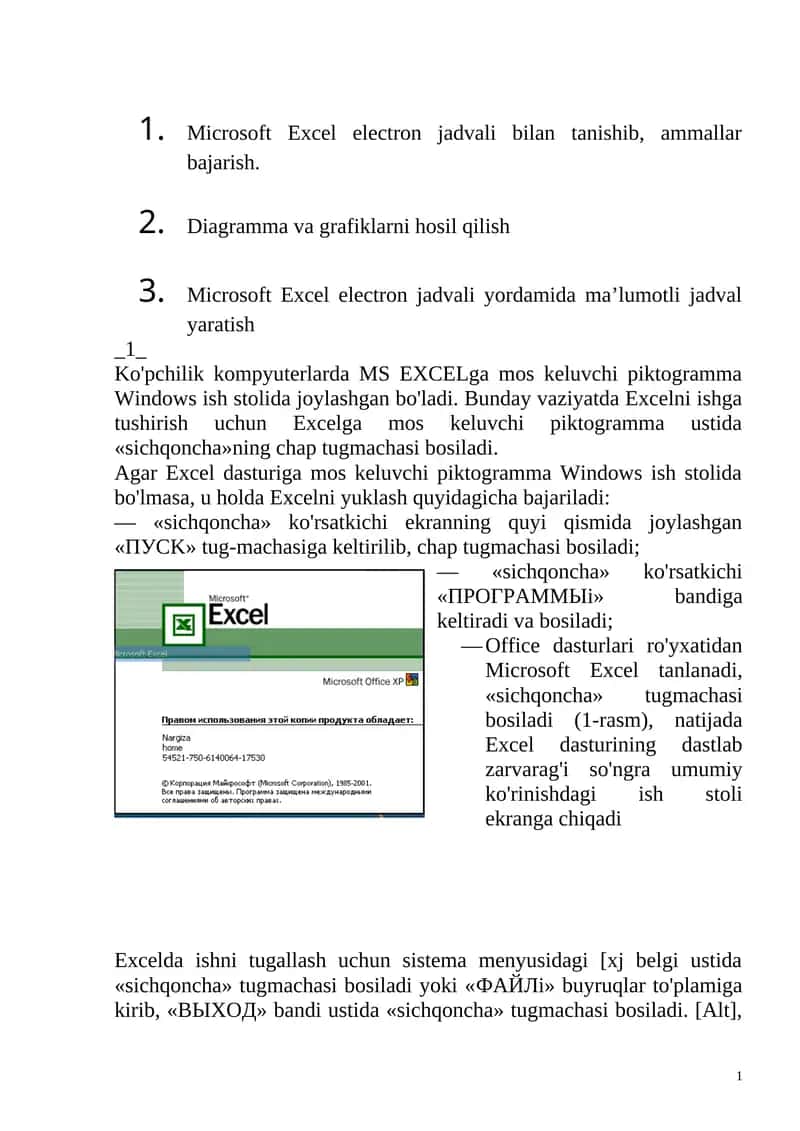 Microsoft Excel