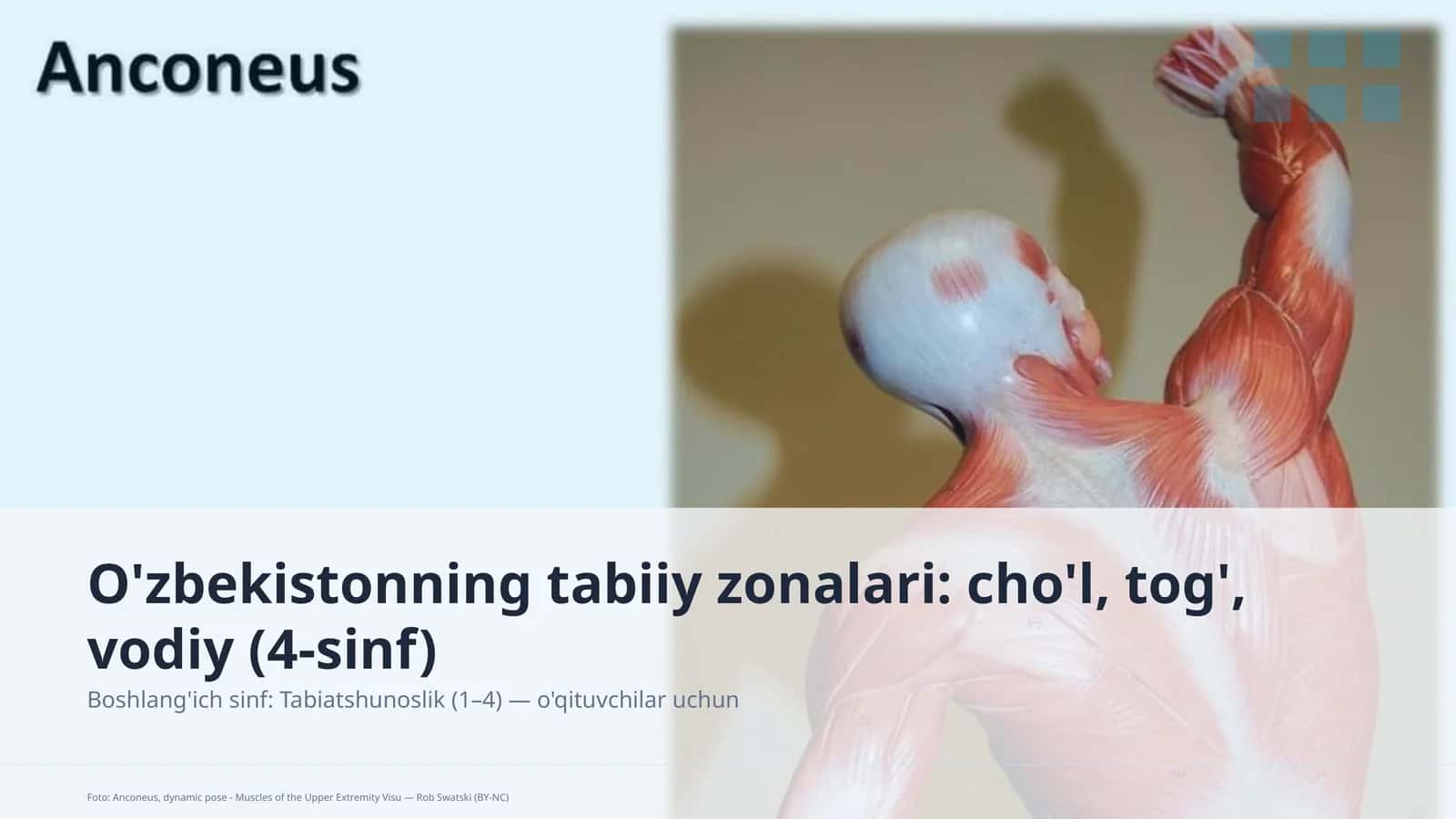 O'zbekistonning tabiiy zonalari: cho'l, tog', vodiy (4-sinf)
