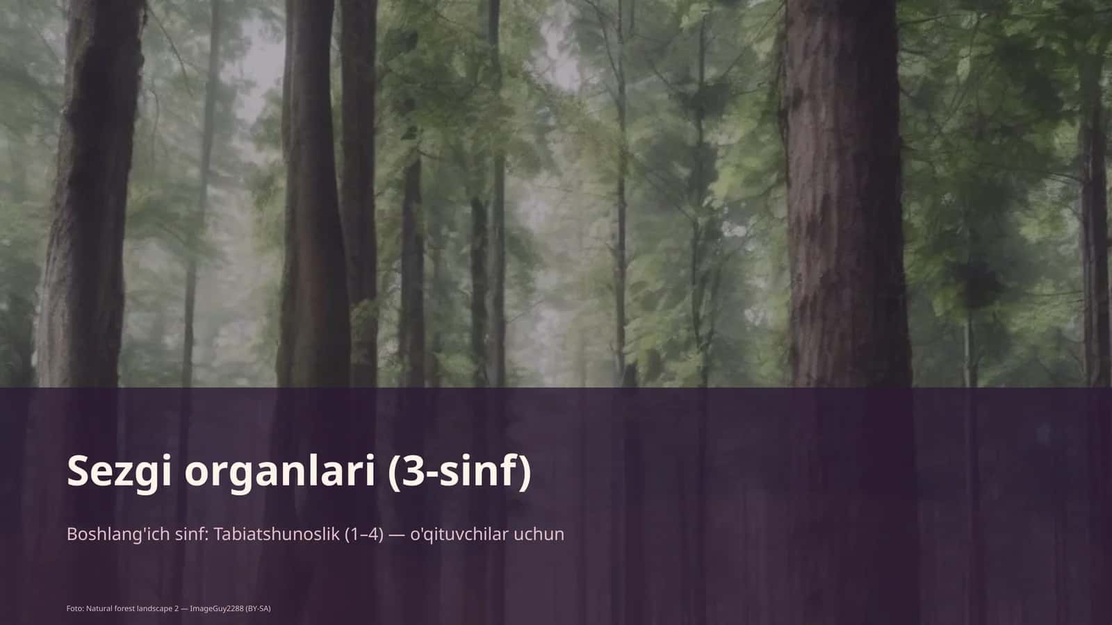 Sezgi organlari (3-sinf)