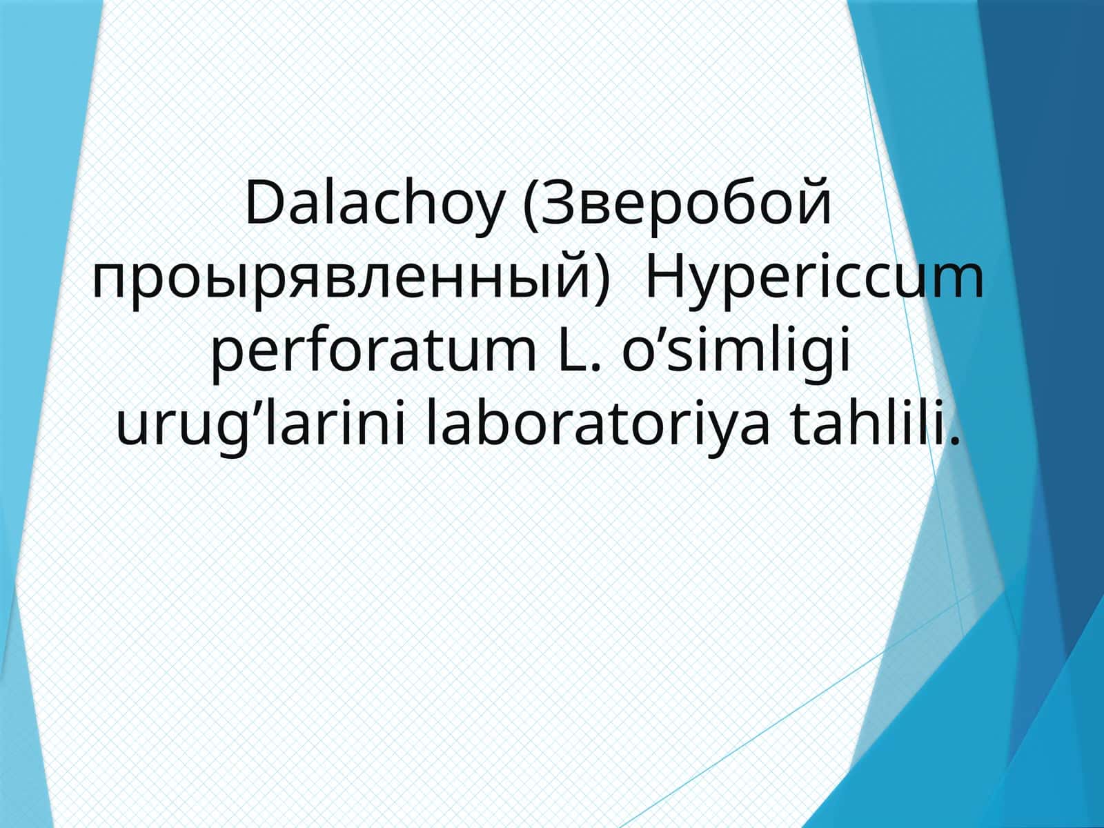 Dalachoy(Зверобойпроырявленный)