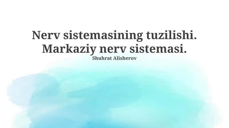 Nerv sistemasining tuzilishi