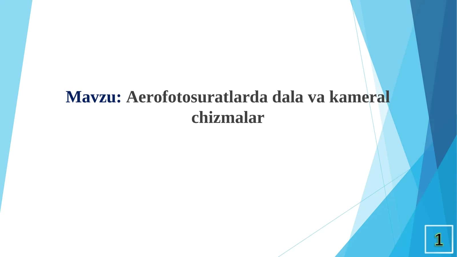 Aerofotosuratlarda dala va kameral chizmalar