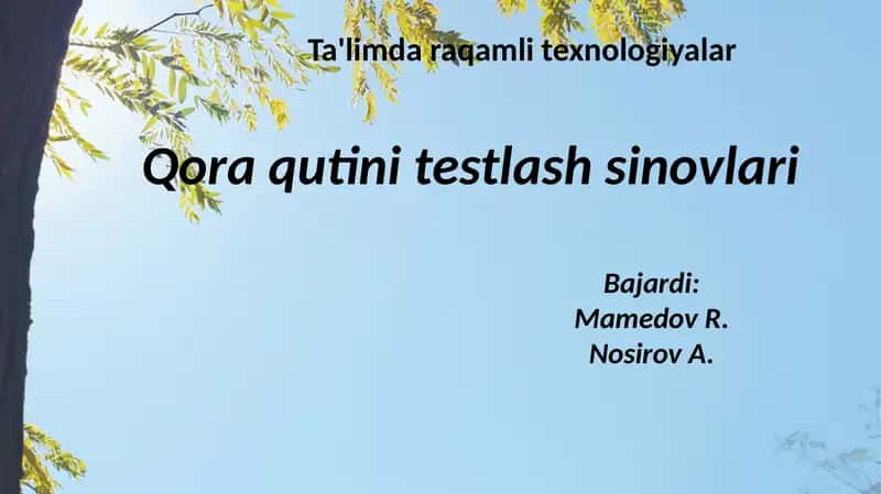 Test dasturi (SW) hal qilinishi kerak kodi