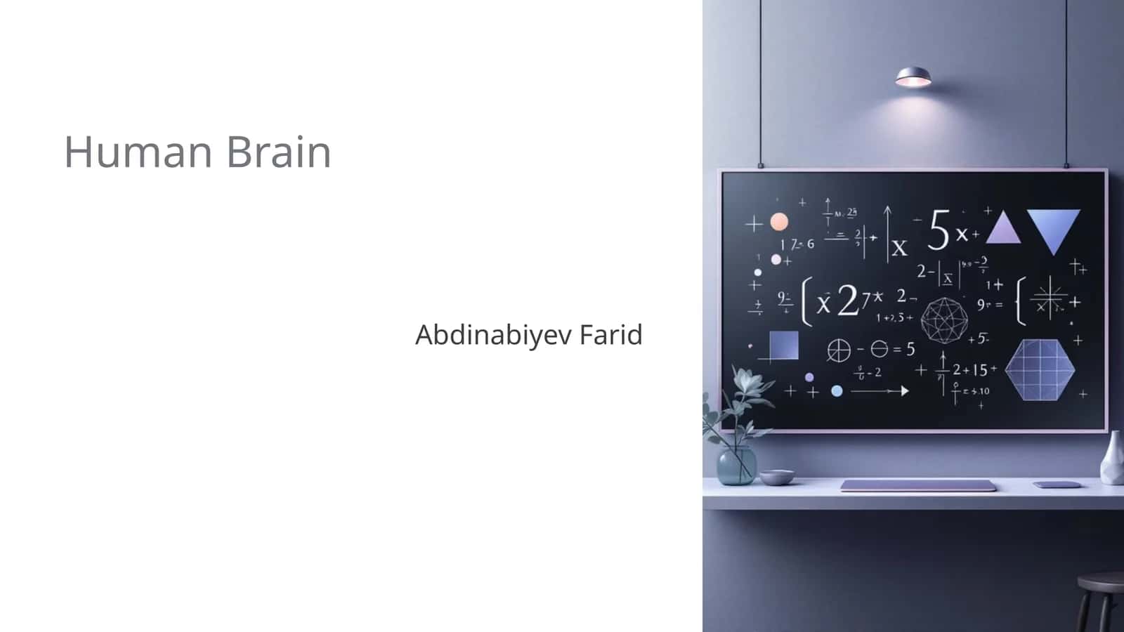 Human Brain