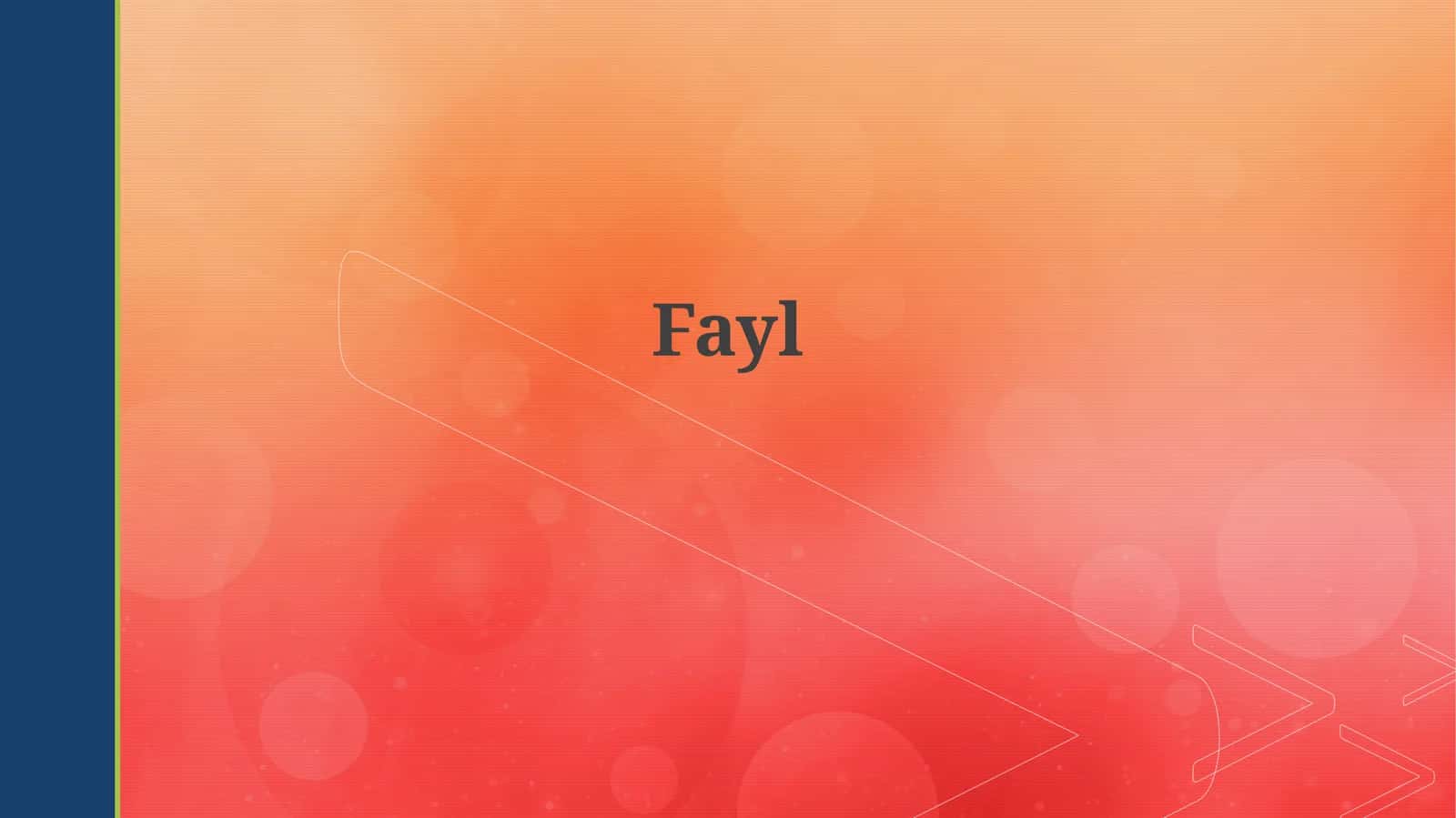 Fayl turlari