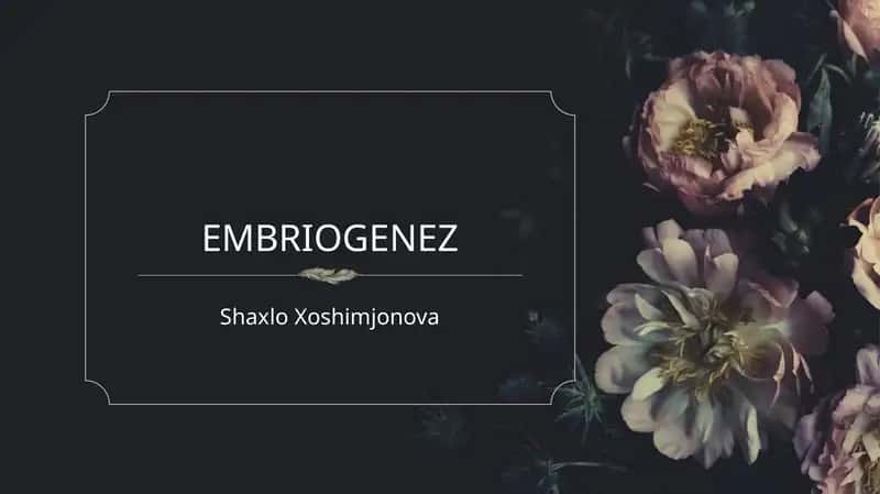 Prezintatsiya Embriogenez (Gistologiya)