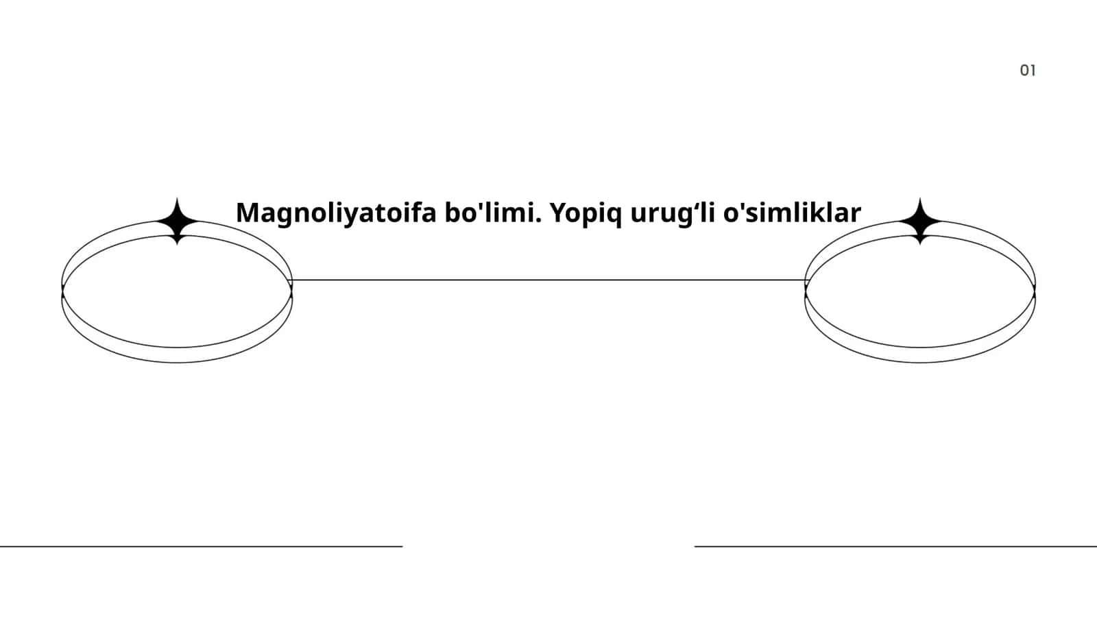 Magnoliyatoifa bo'limi. Yopiq urugʻli o'simliklar