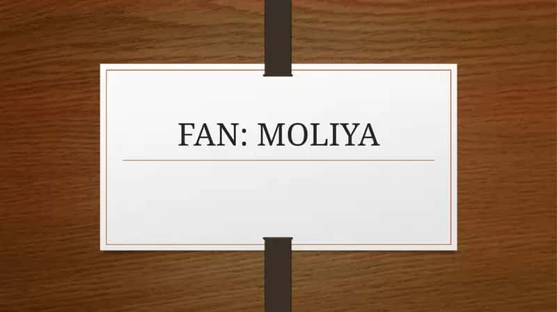 Moliya Vazirligi G`aznachiligi