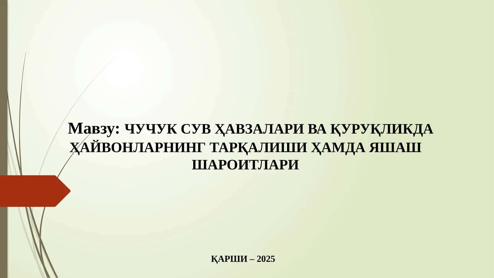 Чучук сув ҳавзалари ва қуруқликда ҳайвонларнинг тарқалиши