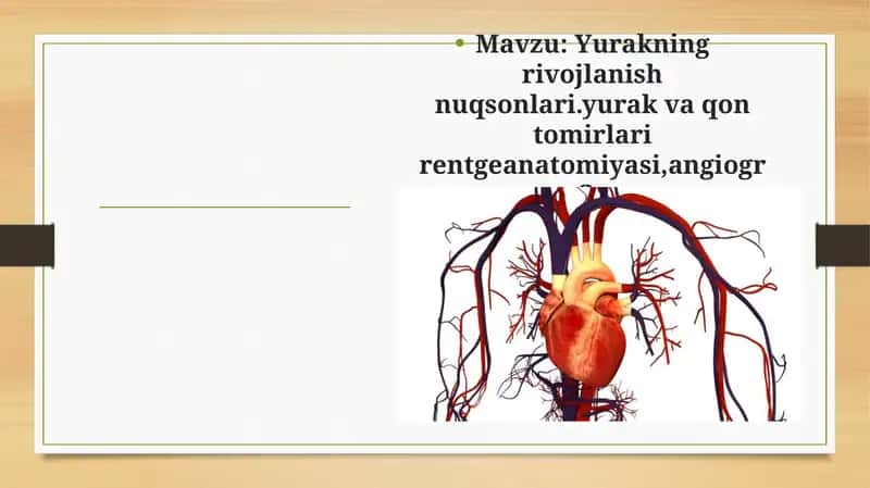Yurakning rivojlanish nuqsonlari