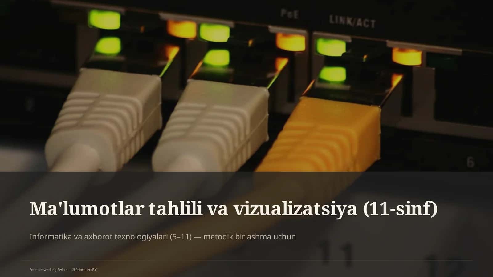Ma'lumotlar tahlili va vizualizatsiya (11-sinf)