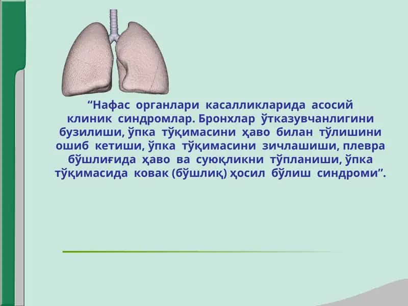 Нафас органлари касалликларида асосий клиник синдромлар