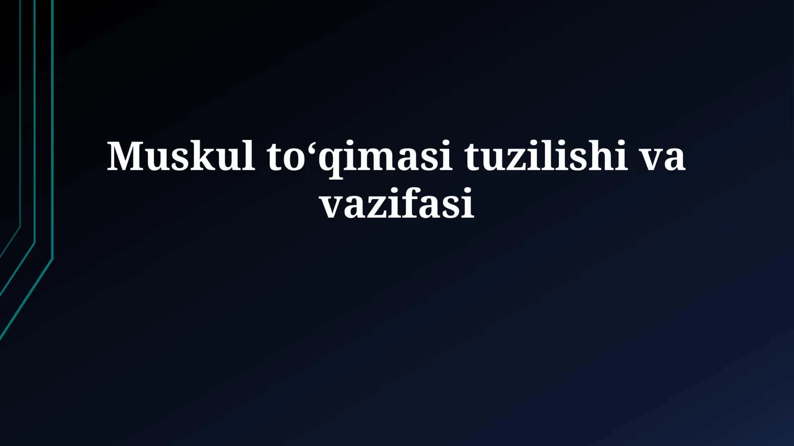 Mushak toʻqimasi tuzilishi
