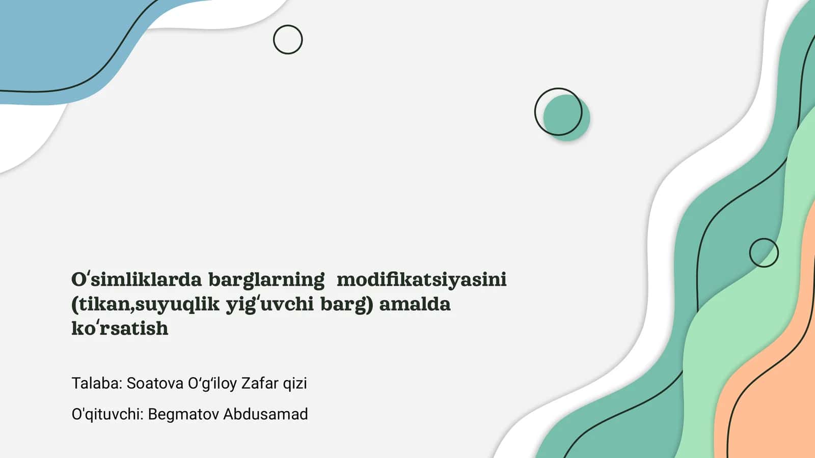 Oʻsimliklarda barglarning modifikatsiyasi