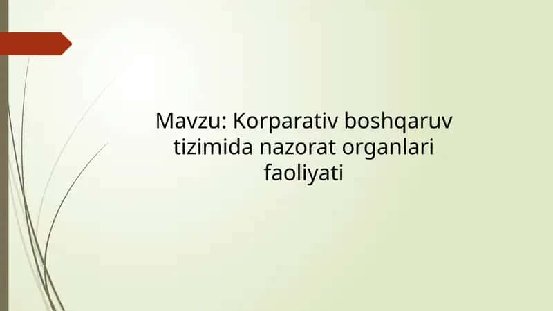 Korporativ Boshqaruv Tizimida Nazorat Organlari Faoliyati