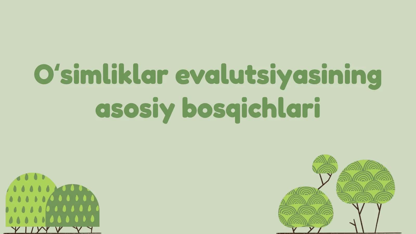 Oʻsimliklar evalutsiyasining asosiy bosqichlari