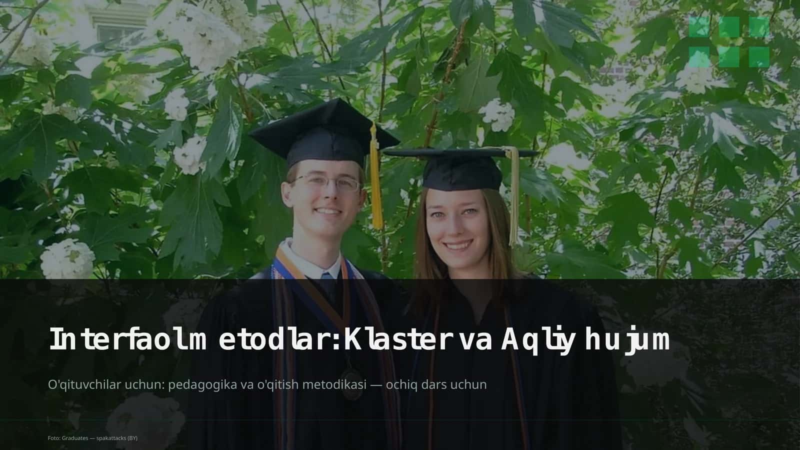 Interfaol metodlar: Klaster va Aqliy hujum