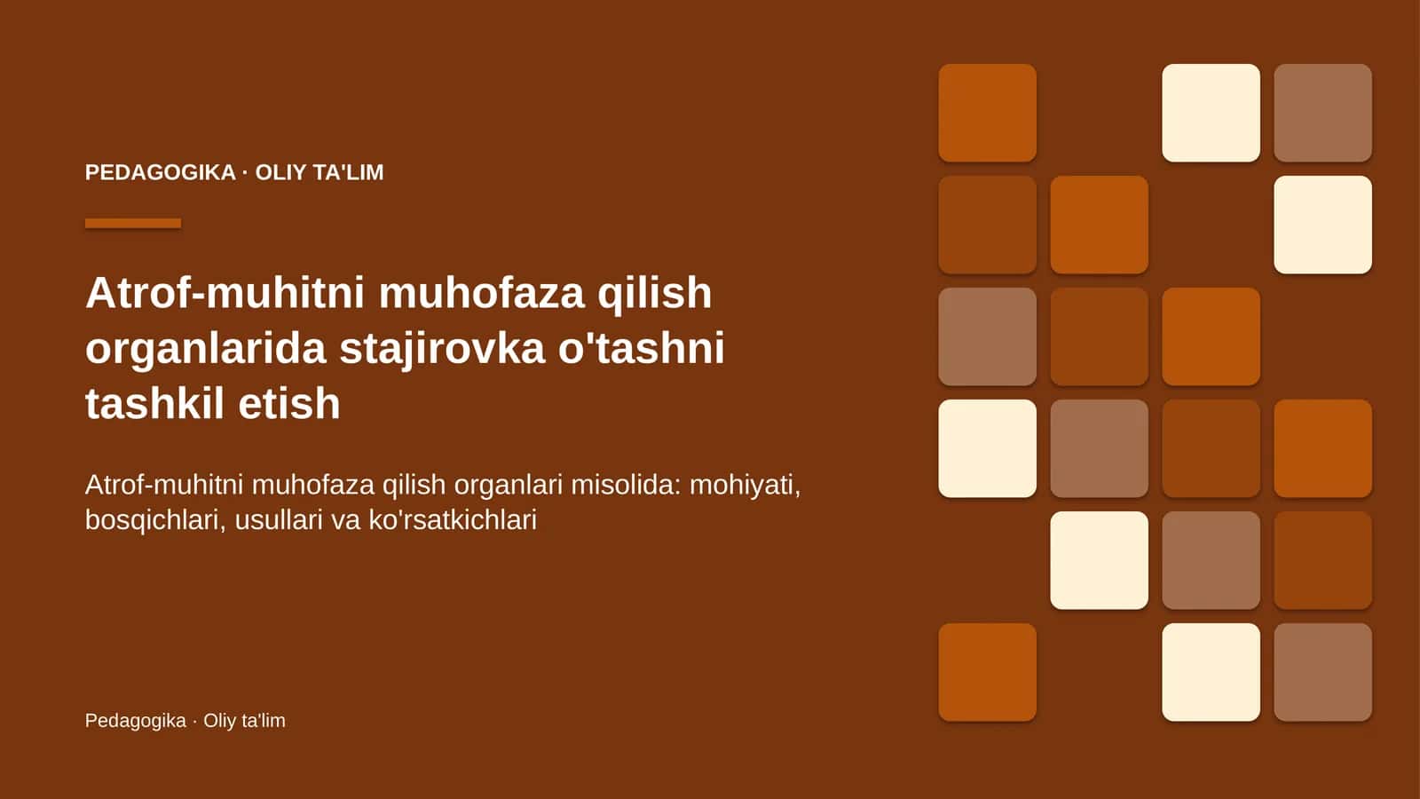 Atrof-muhitni muhofaza qilish organlarida stajirovka o'tashni tashkil etish