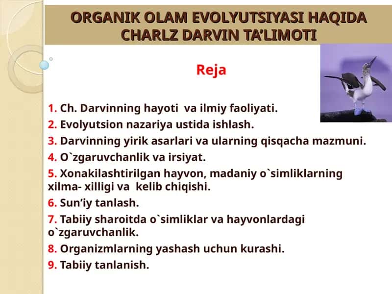 ORGANIK OLAM EVOLYUTSIYASI HAQIDA CHARLZ DARVIN TA’LIMOTI