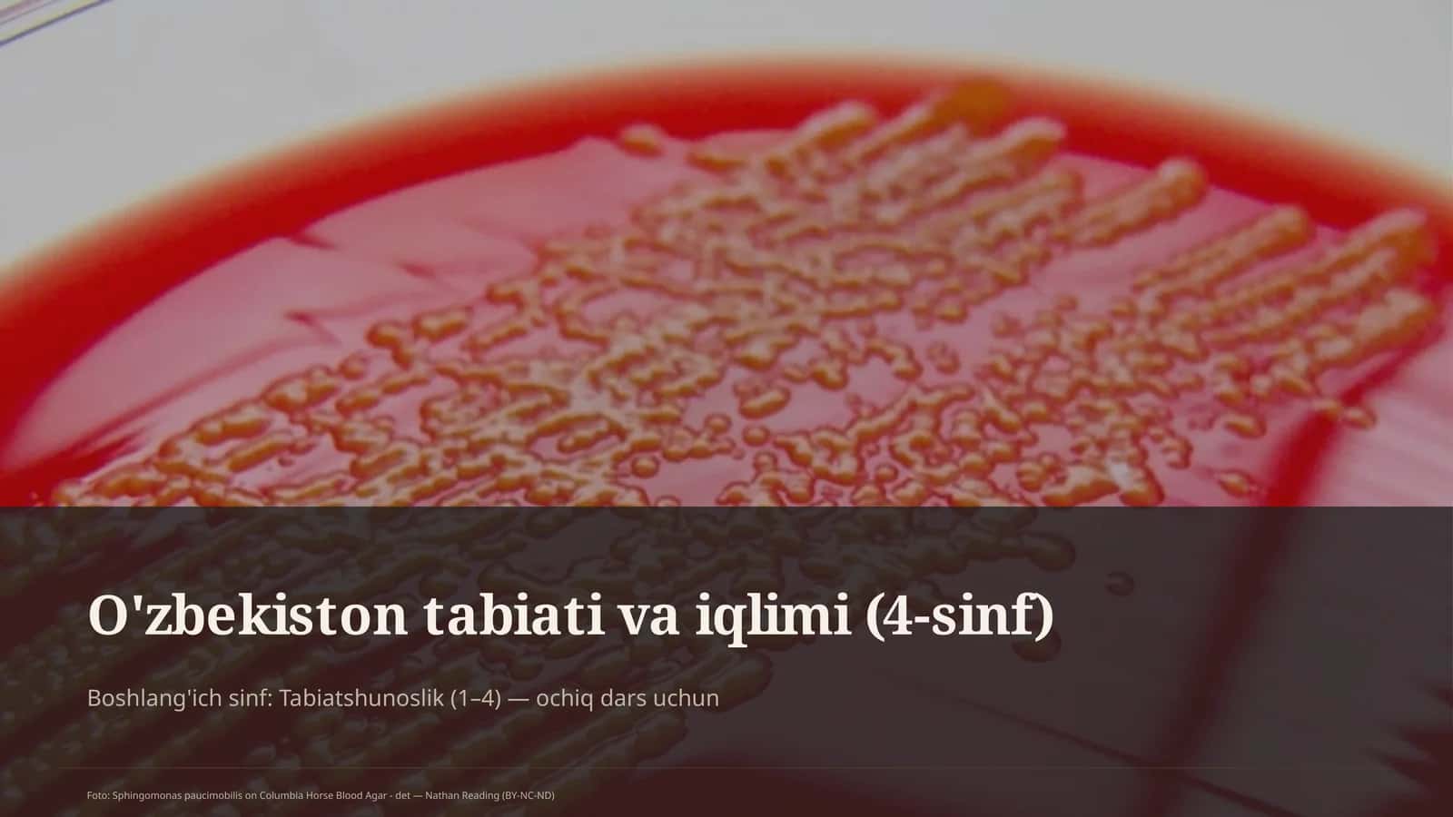 O'zbekiston tabiati va iqlimi (4-sinf)