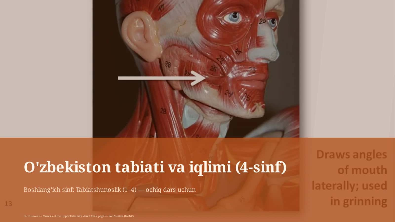 O'zbekiston tabiati va iqlimi (4-sinf)