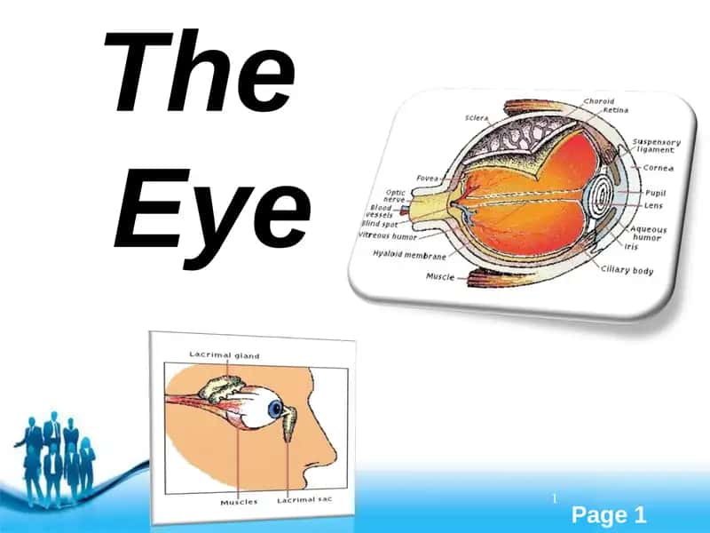 The Eye
