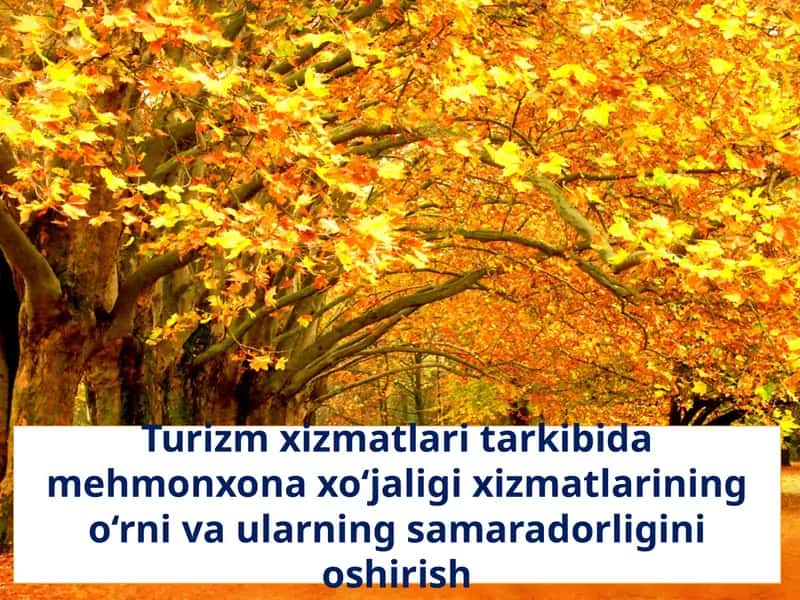 Turizm xizmatlari tarkibida mehmonxona xo‘jaligi xizmatlarining o‘rni va ularning samaradorligini oshirishsh