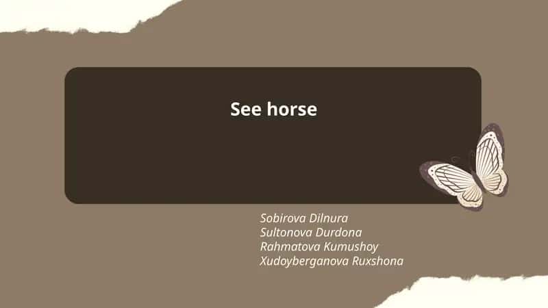 Seahorse Anatomy and Physiology