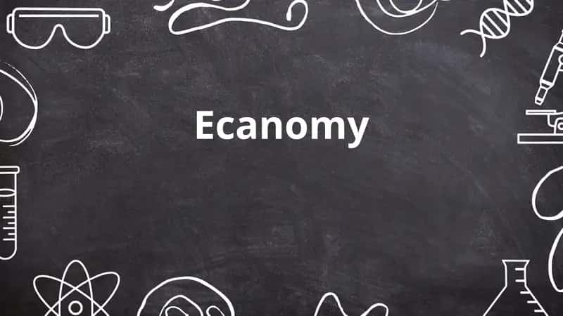 Ecanomy